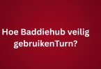 Hoe Baddiehub veilig gebruikenTurn?