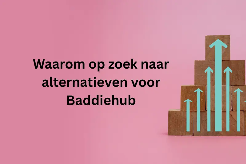 Waarom op zoek naar alternatieven voor Baddiehub
